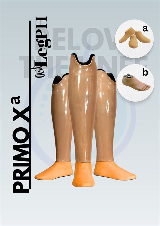 Primo X a brochure page