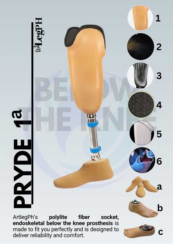Pryde 1a brochure page