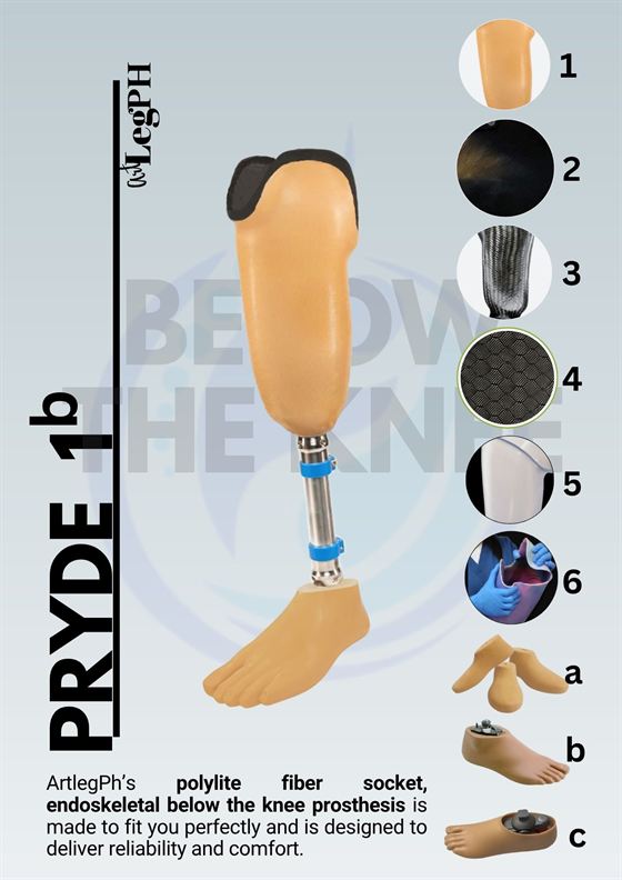 Pryde 1b brochure page