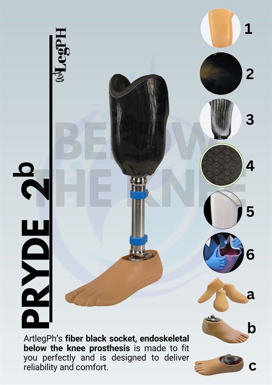 Pryde 2b brochure page