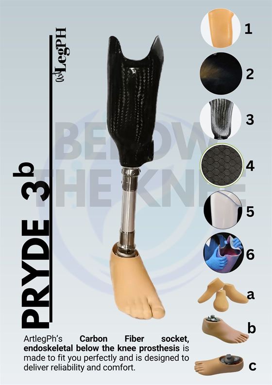 Pryde 3b brochure page