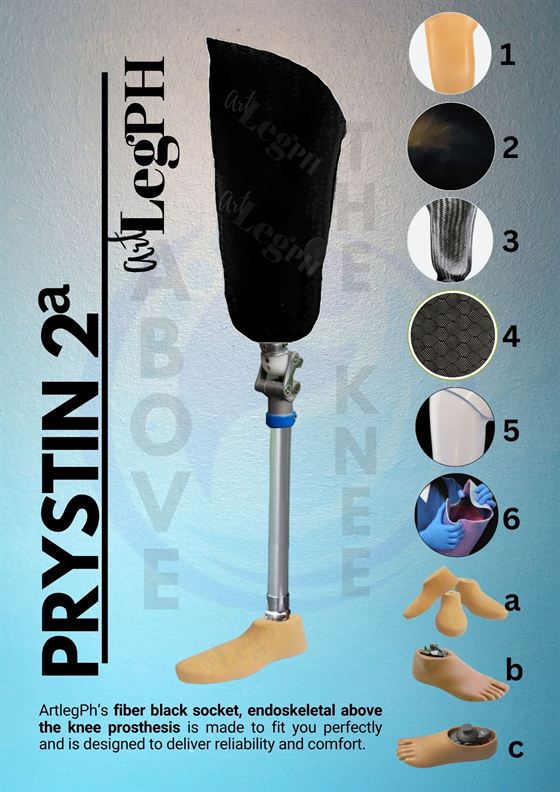 Prystin 2a brochure page
