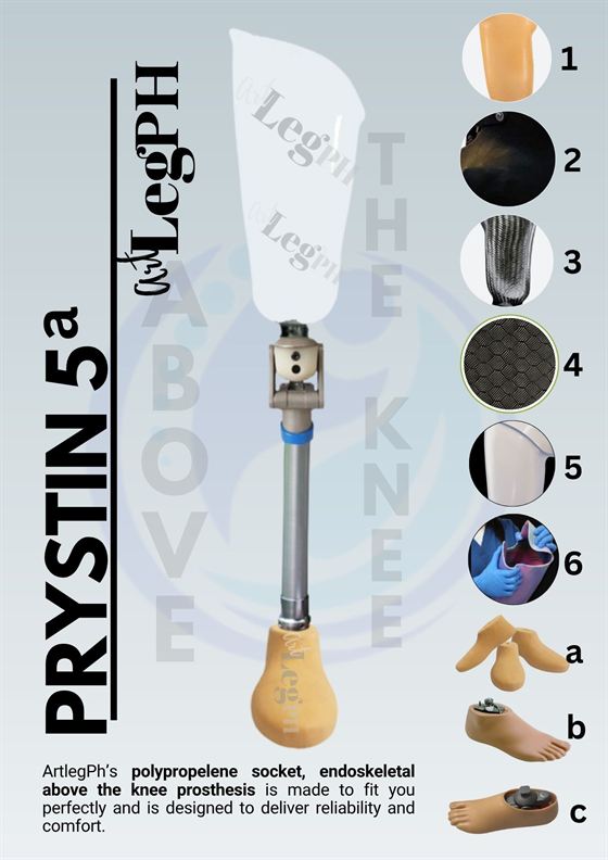 Prystin 5a brochure page