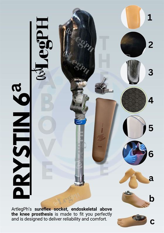 Prystin 6a brochure page